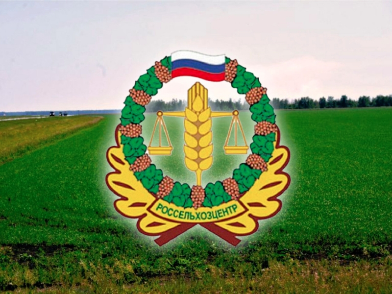 Специалисты Арсеньевского районного отдела рассказали о рододендроне..