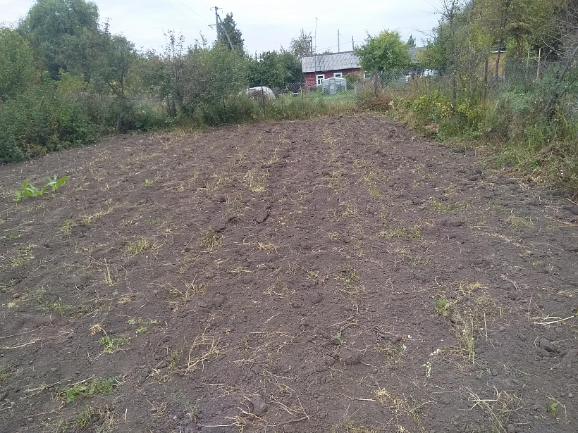 Муниципальным инспектором по земельному контролю 05.09.2019 года была проведена плановая выездная проверка в отношении гражданина Назарова Александра Ивановича.