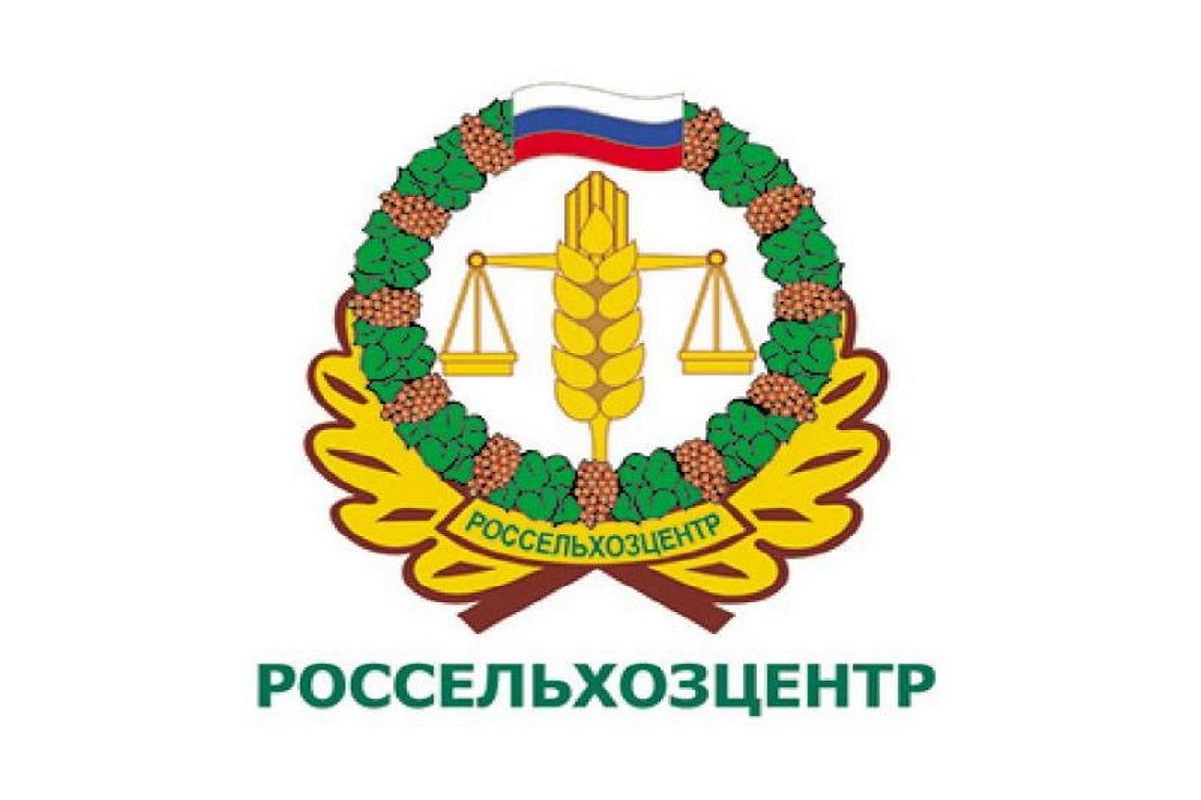 О заболевании  косточковых культур - монилиозе   рассказали специалисты  филиала ФГБУ «Россельхозцентр» по Тульской области.