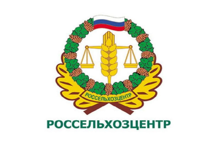 Размножение смородины осенними черенками. Размножение смородины осенними черенками.