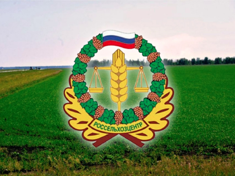 Специалисты Арсеньевского районного отдела рассказали о рододендроне.. Специалисты Арсеньевского районного отдела рассказали о рододендроне..